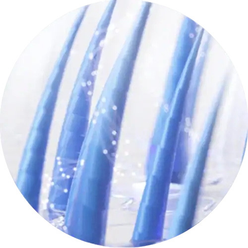 Розчин міноксидил для росту волосся, лікування випадіння волосся.